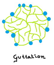 gutta.PNG