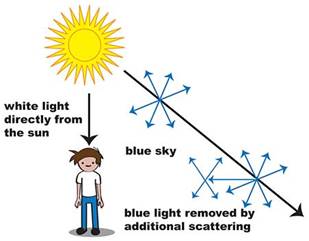 blueeeeeeeee.jpg