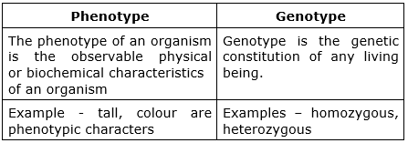 Write Differences Between Phenotype And Genotype Write Differences Between Phenotype And Genotype