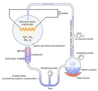 State Oparin and Haldane’s hypothesis and write the conclusion S.L ...