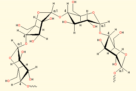 (i) Which one of the following is a polysaccharide : Starch, maltose ...