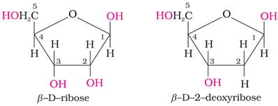 (i) Which one of the following is an oligosaccharide: starch, maltose ...