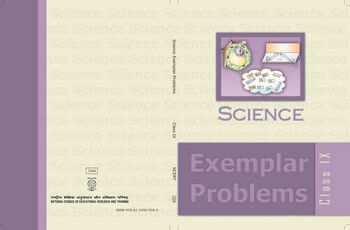 Examplar Problem (English)