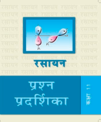 Examplar Problems (Hindi)